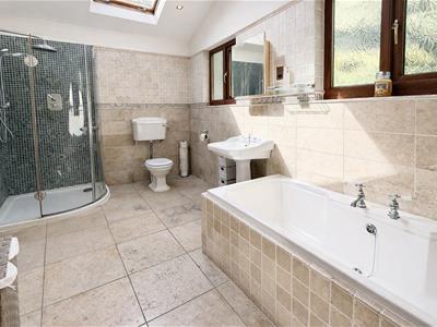 Picture 15